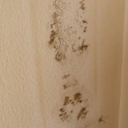 Schimmel an der Wand durch Möbelstück an Außenwand