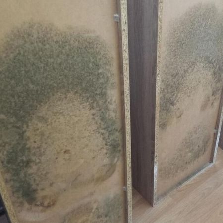 Schimmel an Möbelstücken